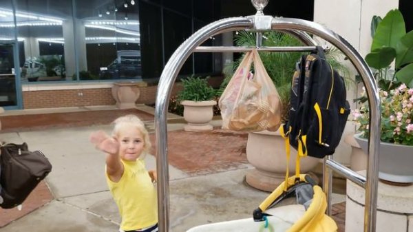 Отель Шератон в Вашингтон DC 3.5 звезды ВЛОГ