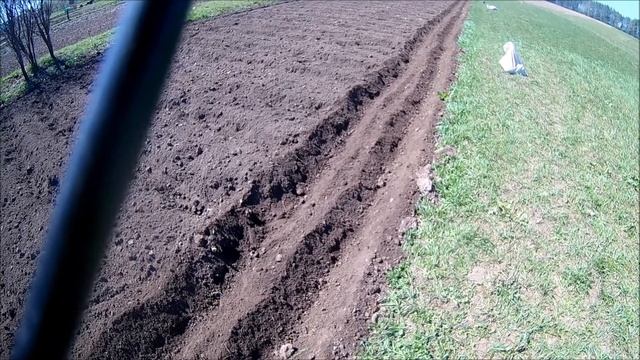 Садим картошку  ручным окучником.