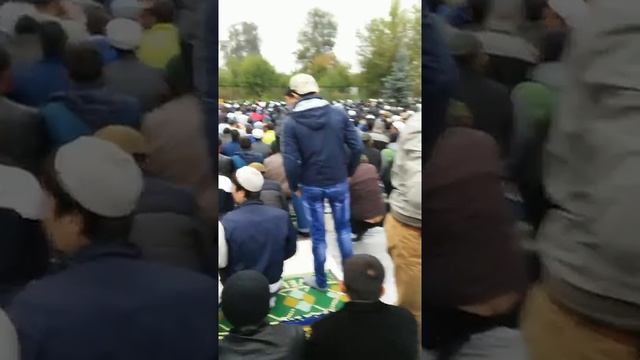 Знамение АЛЛАХА 12 09 16 имя АЛЛАХ деревья в полный рост на 6. И 23 секунндах в сторону киблы смотреть онлайн