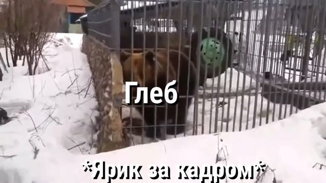 [Vines|Дни нашей жизни] смотреть онлайн