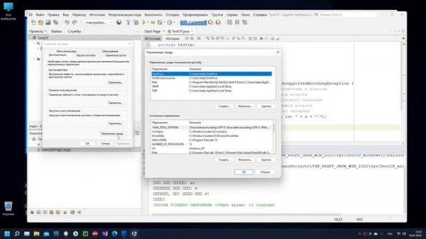 Зачем нужна программисту Java настройка JAVA TOOL OPTIONS в Windows 11