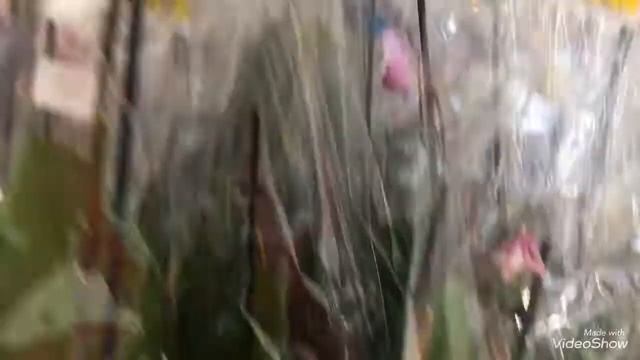 Ашан Мытищи много уценок по 100-199 рублей 17 марта 2018 смотреть онлайн