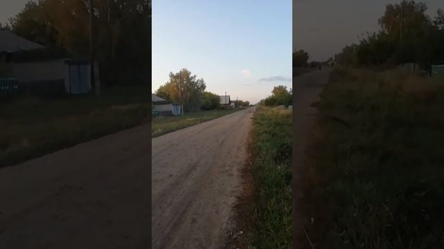 Самодельный мото велик с двигателем от триммера смотреть онлайн
