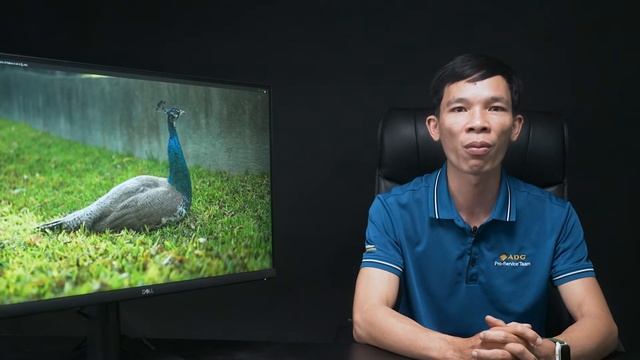 [ Review ] Đánh giá màn hình Dell SE2723DS смотреть онлайн