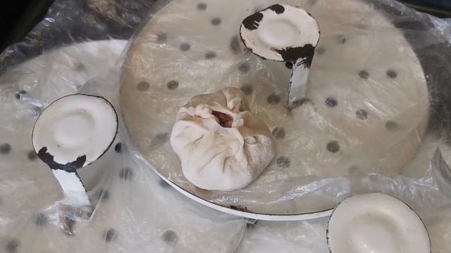 Ретрофильмы и Классика