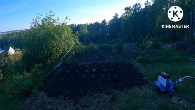 Посадка помидор и капусты. Косим траву смотреть онлайн