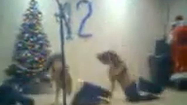 новый год в пту это тоже весело и зрелищно)) смотреть онлайн