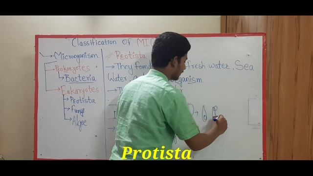 Classification of #Microbes | Short note microbes class 9 | exam special revision | Protista смотреть онлайн