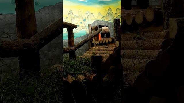 Панда чудит смотреть онлайн