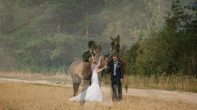 Wedding Day. Александр и Татьяна смотреть онлайн