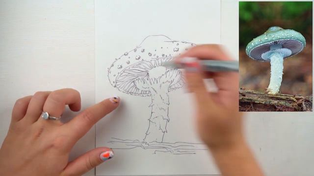 Графика - урок 2 (1) смотреть онлайн