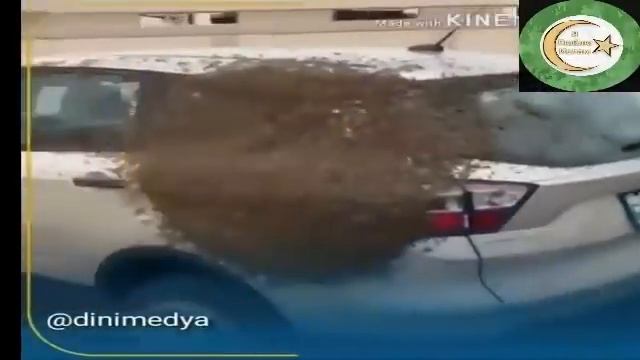 чудеса Аллаха которые поразят вас معجزات خدا معجزات الله смотреть онлайн