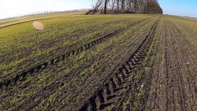 Карбамид вместо селитры в первую подкормку. Тимашевский шевский район Краснодарский край смотреть онлайн