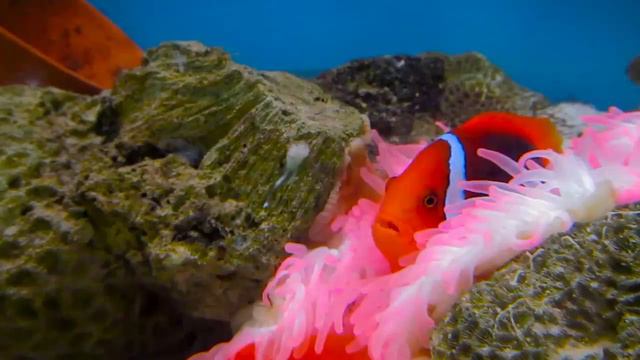 Гулянки по Нячангу | Вьетнам [3]