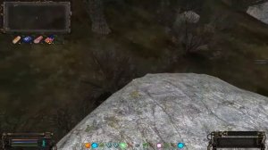 Схрон раритетного оружия в Забытом лесу, ОП 2 2