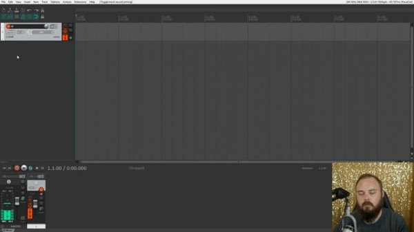 Recording with a USB Microphone | Reaper for Podcasting