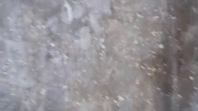 Борьба от грибка и плесени при помощи средства SAVO (не реклама) смотреть онлайн