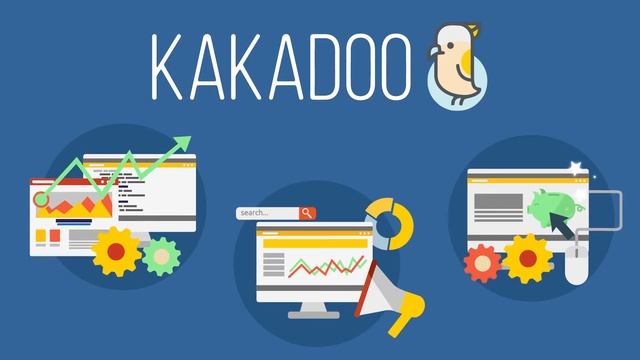 Kakadoo | Web Design & Development смотреть онлайн