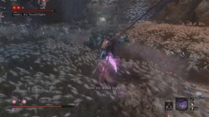 Sekiro ‒ The GENIUS of Isshin, the Sword Saint