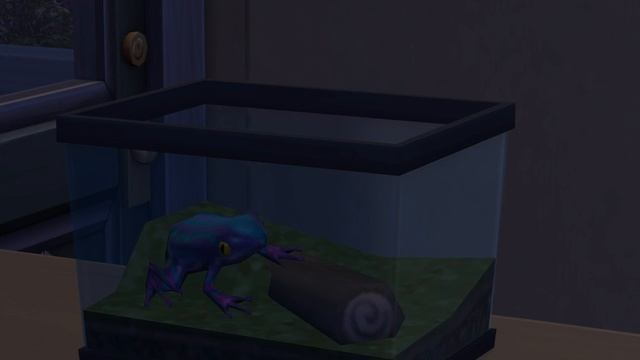 Играем в симс 4 [Sims 4]