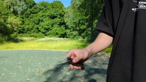 Index Roll - Обучение лёгкому трюку на ноже бабочке для Новичков | How to Index Roll on Balisong