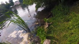 Подмосковные СОМЫ НА ВЕРТУШКУ