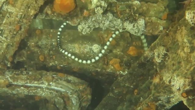 Отражение смотреть онлайн