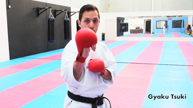 Martial Arts for Beginners – Lesson 2 / Karate Cobra Kai - Fighting Techniques смотреть онлайн