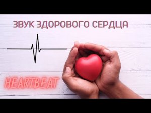 ЗВУК БИЕНИЯ СЕРДЦА ВОССТАНАВЛИВАЕТ СЕРДЕЧНЫЙ РИТМ АСМР