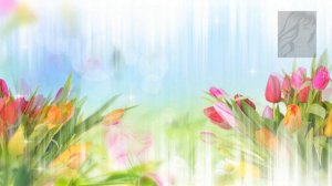 Весенние цветочные футажи 11 - 20 (2 часть) PSP footages