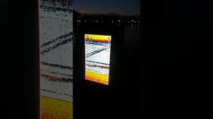 ВИД СОМА НА ЭХОЛОТЕ