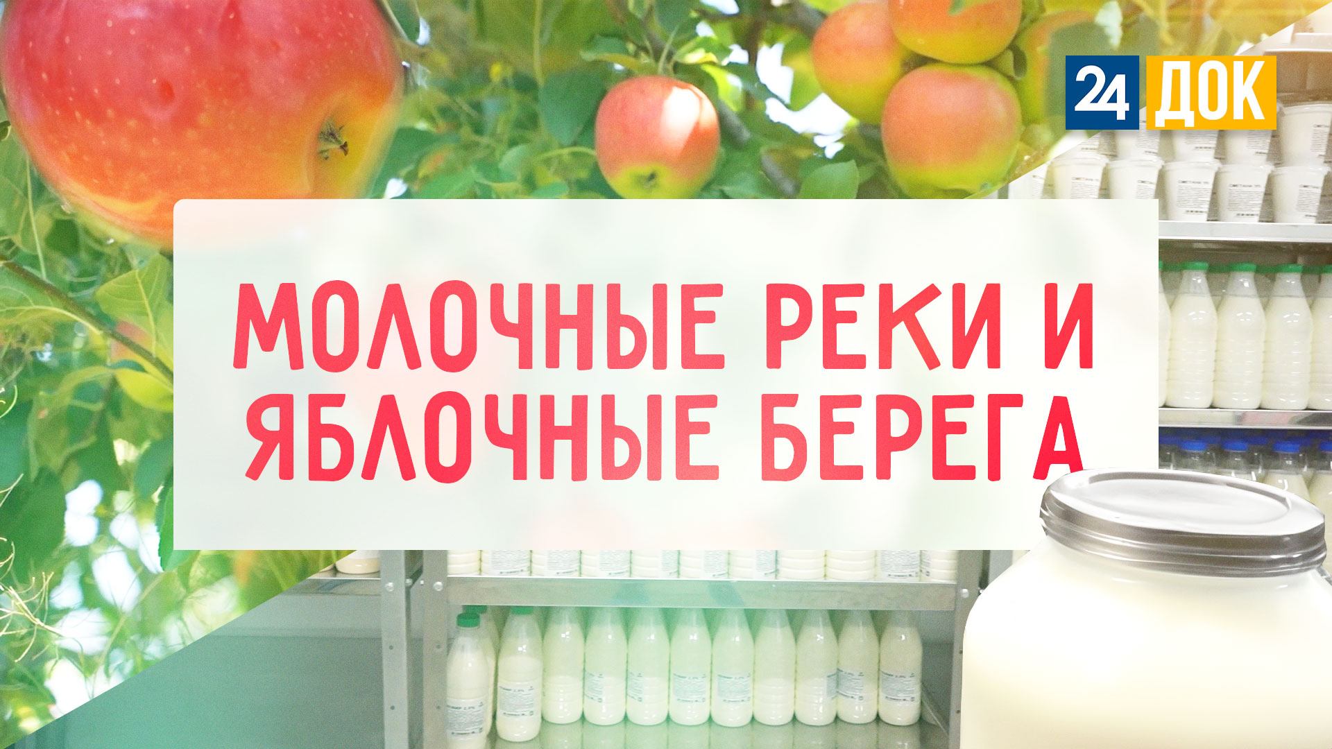 Как выращивают яблоки и где самое вкусное молоко? Агронорм