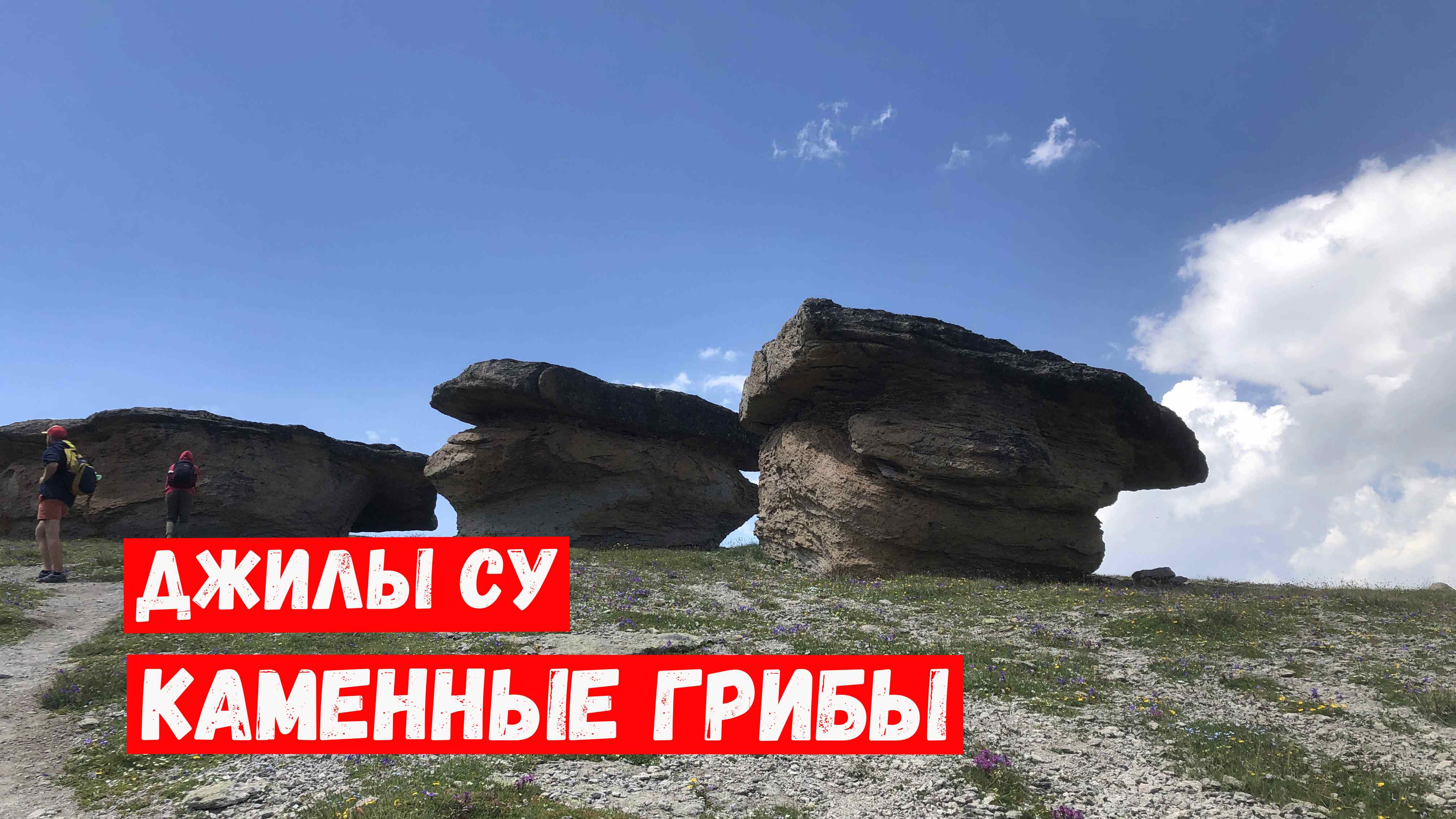КАМЕННЫЕ ГРИБЫ В ДЖИЛЫ СУ ОДНОДНЕВНЫЙ ПОХОД смотреть онлайн