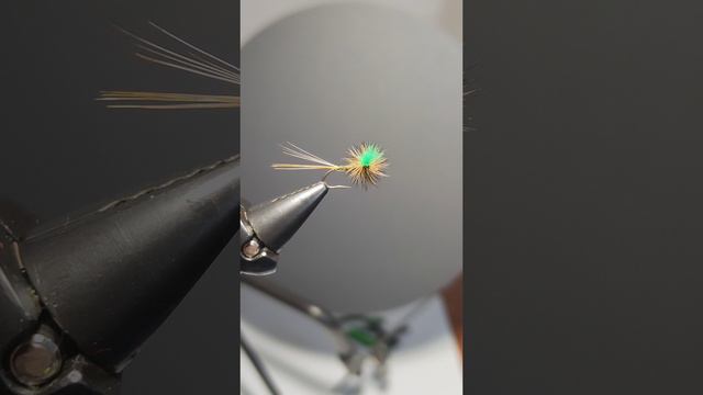 Double chute