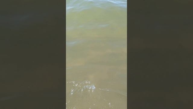 Море 18,7...парное молоко! смотреть онлайн