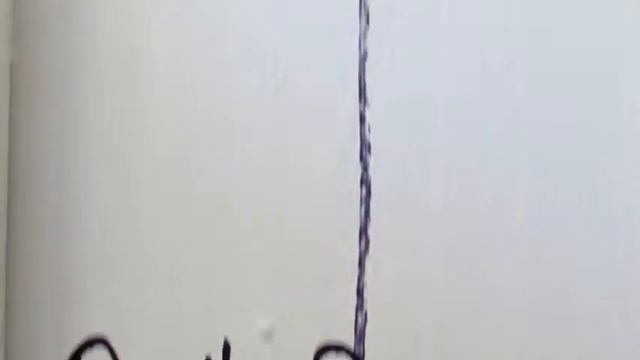 StarTrek Loonacy in New Zealand смотреть онлайн