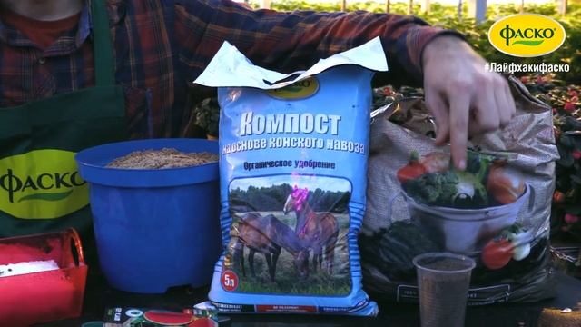 Как вырастить арбуз из семян смотреть онлайн