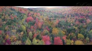 ?Лесной Человек Загадочная и Необъяснимая встреча в тайге