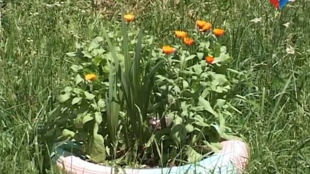 Плата за полив. РКЦ дает разъяснения смотреть онлайн