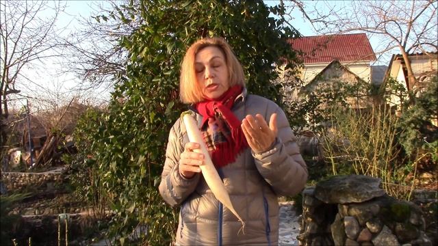 Дайкон что за овощ. Агротехника выращивания. смотреть онлайн