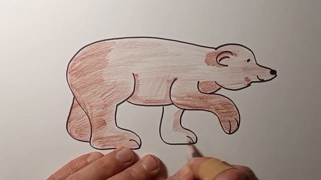 Как нарисовать бурого медведя смотреть онлайн