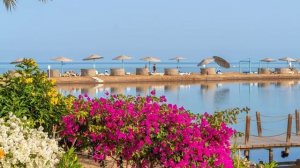 ЕГИПЕТСКАЯ ВЕНЕЦИЯ! ШИКАРНЫЙ ОТЕЛЬ! ХУРГАДА, ЭЛЬ ГУНА! Отдых в Египте 2021