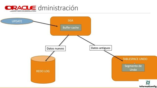 Oracle Base de Datos 21c desde cero para principiantes | TABLESPACE UNDO (video 44) смотреть онлайн