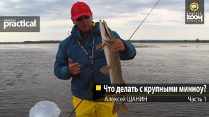 Что делать с крупными минноу? Алексей Шанин Часть 1.