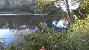 РЫБАЛКА НА ДОНКУ В СЕНТЯБРЕ НА РЕКЕ. Ловля плотвы.