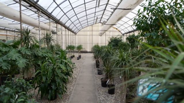 Sony 20-70mm F4 G Review смотреть онлайн