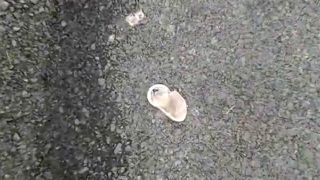 Найшли презерватив смотреть онлайн