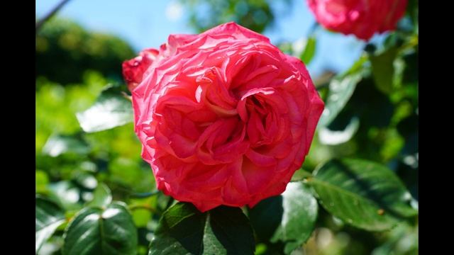 Природа Крыма Relax смотреть онлайн