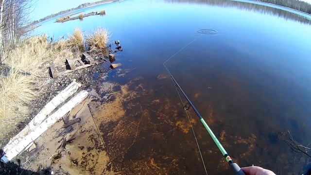 Воблеры Daiwa Morethan Cross Wake 90SSR-F и Megabass X-70 обзор и игра воблеров на озере! смотреть онлайн