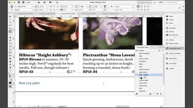 InDesign Styles: Beyond the Basics! // Anne-Marie Concepción - CreativePro смотреть онлайн